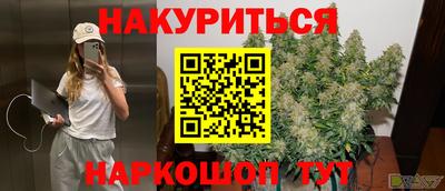 соль ск Новодвинск