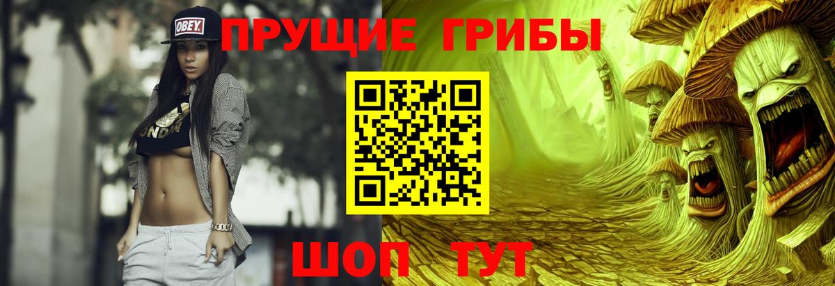 Урус-Мартан  Галлюциногенные грибы прущие грибы  Вход с VPN 